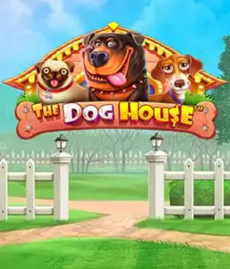 Из Pragmatic Play приходит The Dog House, демонстрирующий веселое приключение с любимых собак. Наслаждайтесь функциях включая множители, направленных на доставления радостных моментов. Идеально подходит для любителей животных веселую атмосферу с шансом на крупные выигрыши.